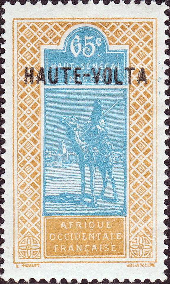 Dromedary (Camelus dromedarius) with Rider