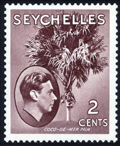 Stamp, Coco-de-Mer Palm, Seychelles,  , Trees, Palm-trees, Plants (Flora)