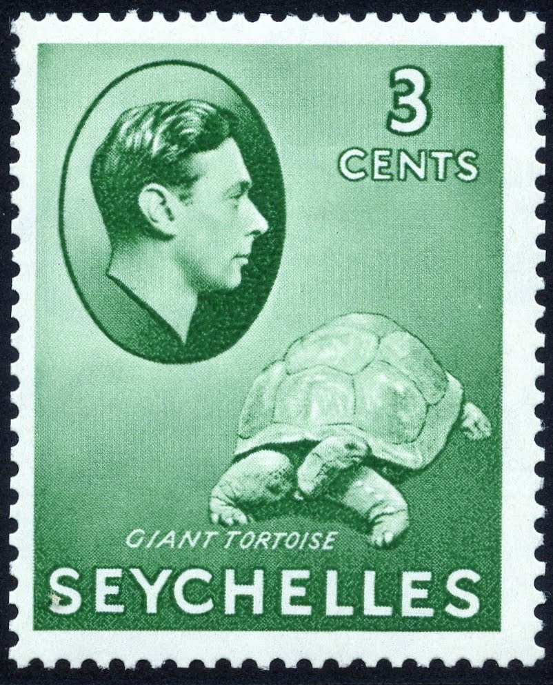 King George VI, Aldabra Giant Tortoise (Aldabrachelys gigant