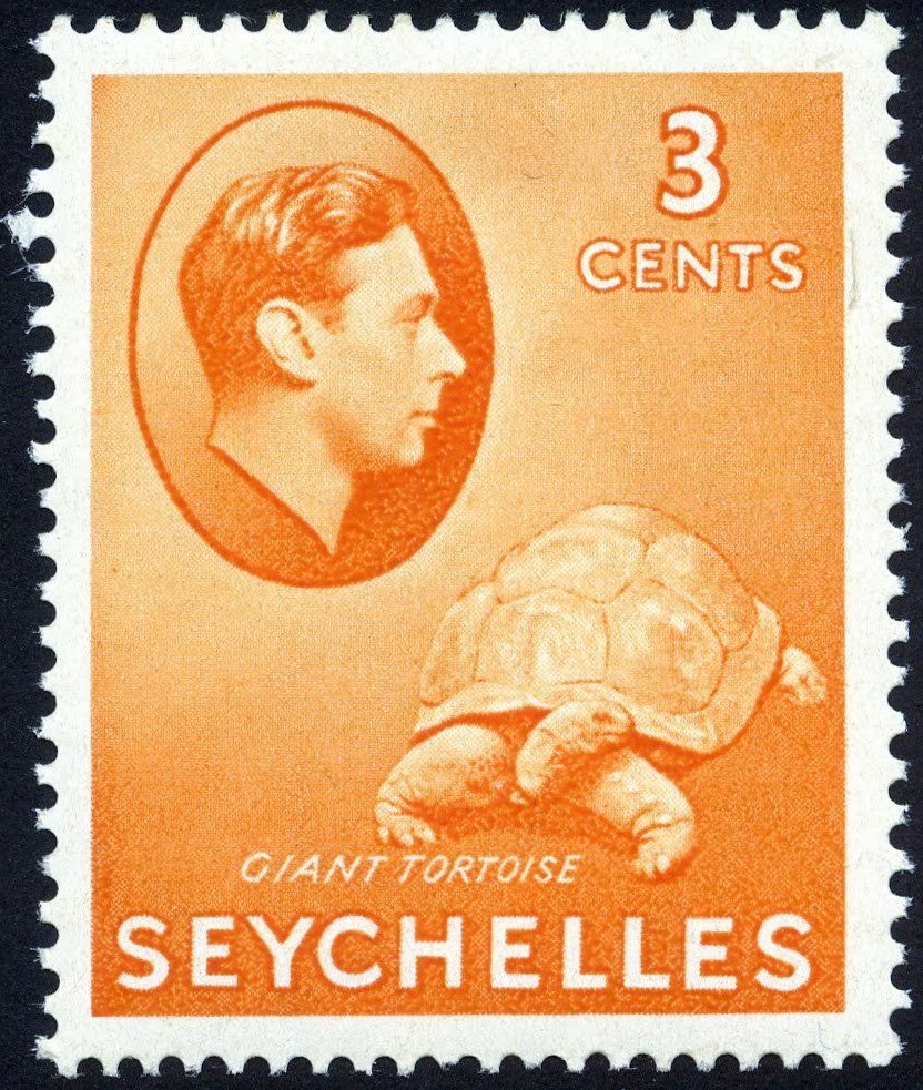 King George VI, Aldabra Giant Tortoise (Aldabrachelys gigant