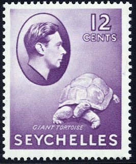 Aldabra Giant Tortoise (Aldabrachelys gigantea)