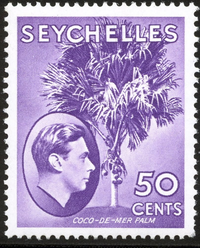Coco-de-Mer palm