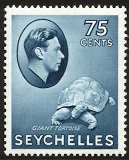 Aldabra Giant Tortoise (Aldabrachelys gigantea)