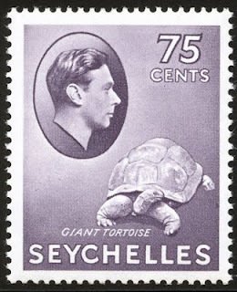 Aldabra Giant Tortoise (Aldabrachelys gigantea)