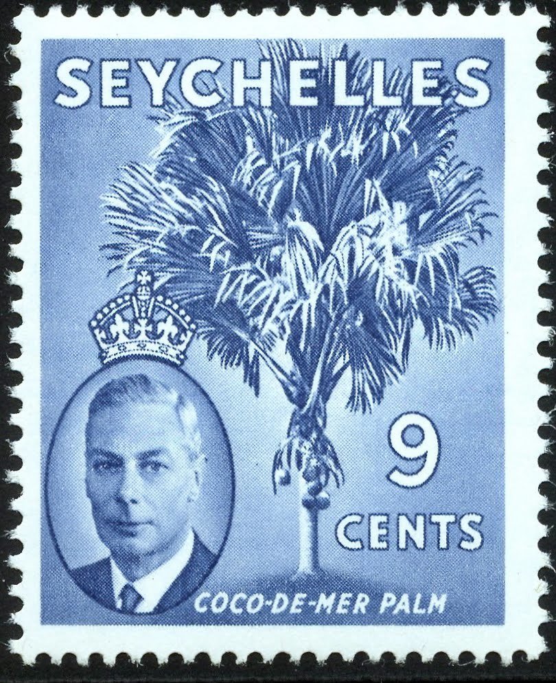 Coco de mer Palm
