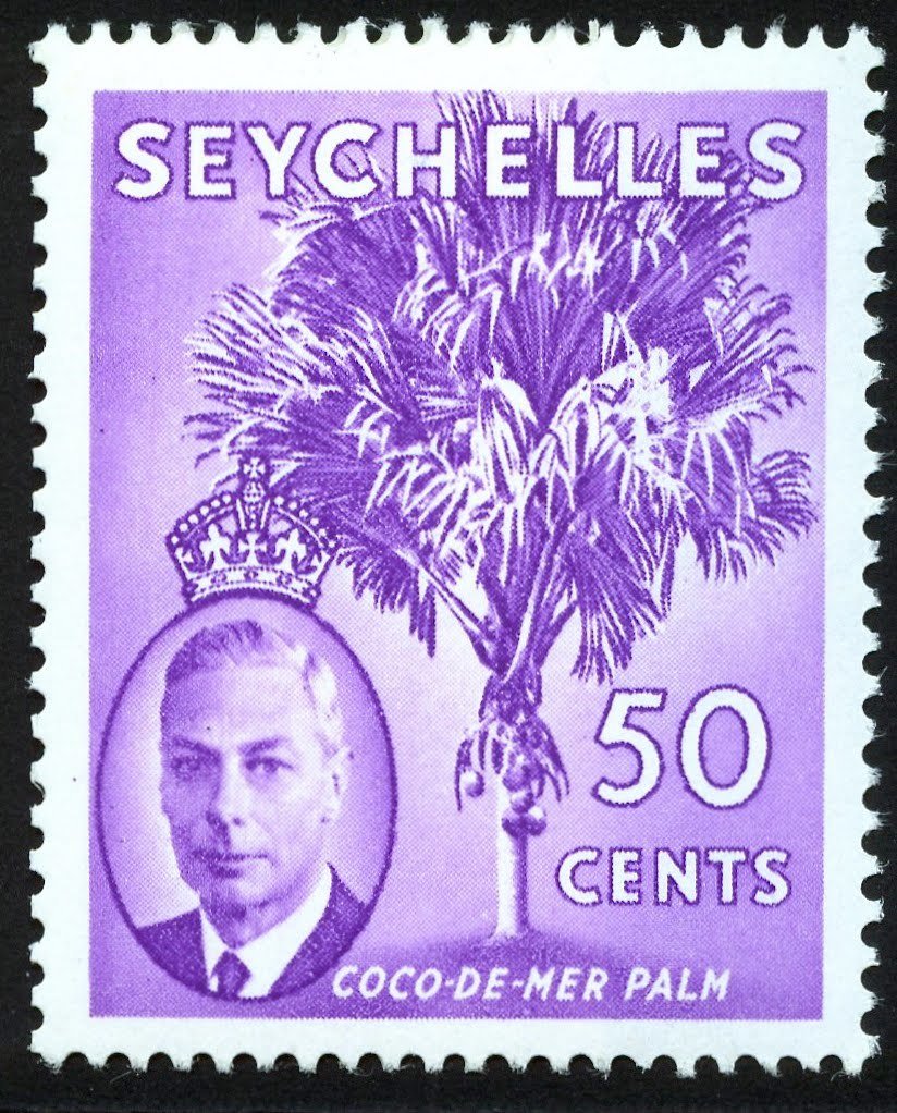 Coco de mer Palm