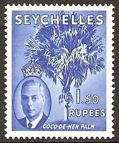 Coco de mer Palm