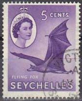 Flying Fox (Pteropus sp.)