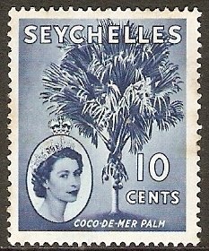 Coco de mer Palm