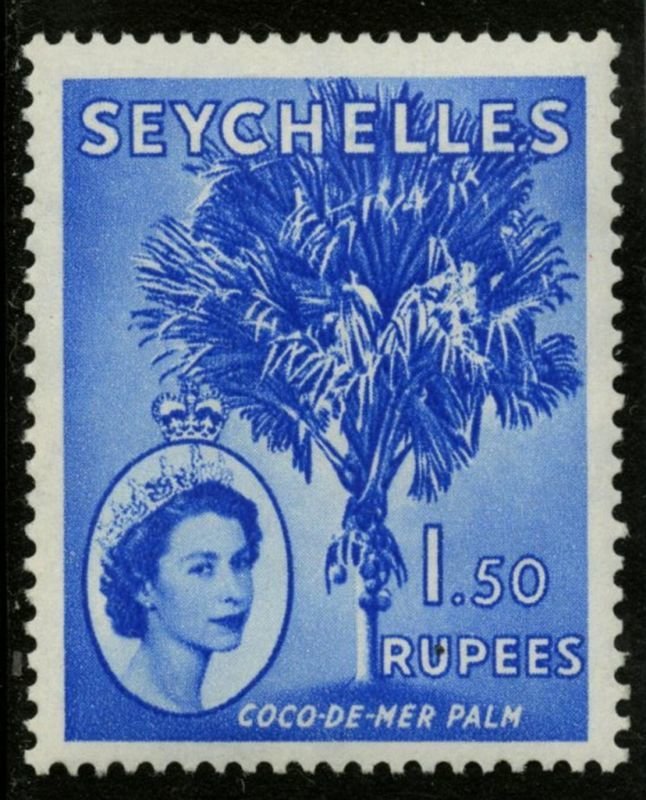 Coco de mer Palm
