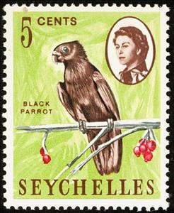 Stamp, Seychelles Black Parrot (Coracopsis barklyi), Seychelles,  , Birds, Parrots