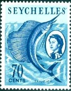 Indo-pacific Sailfish (Istiophorus platypterus)