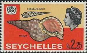 Stamp, Chocolate Spotted Auger (Terebra subulata), Triton (Charonia, Seychelles,  
