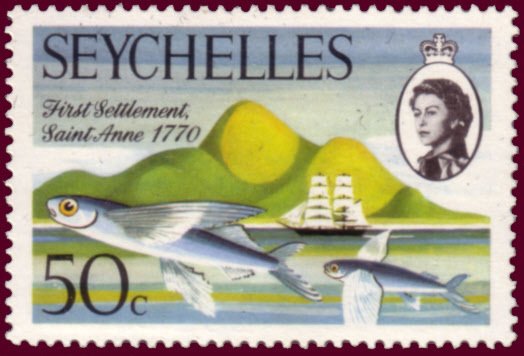 Flying fish, island and ship