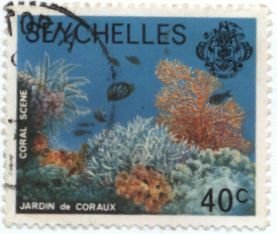 Coral reef