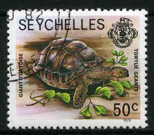 Aldabra Giant Tortoise (Aldabrachelys gigantea)