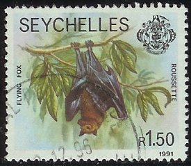 Flying Fox (Pteropus sp.)