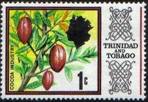 Cacao (Theobroma cacao)