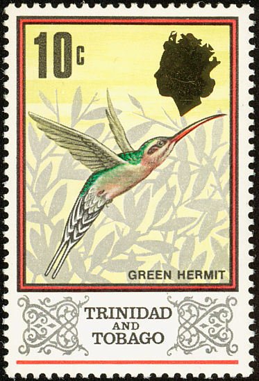 Green Hermit (Phaethornis guy)