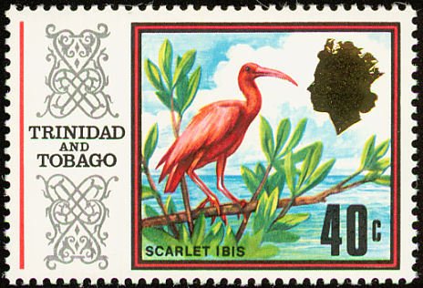 Scarlet Ibis (Eudocimus ruber)