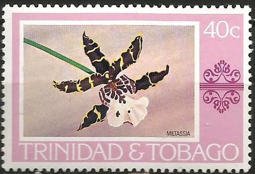 Miltassia