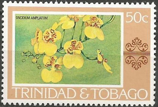 Oncidium ampliatum