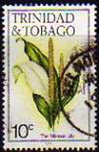 Maraval Lily (Spathiphyllum cannifolium)