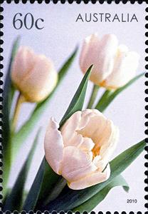 Stamp, Pink Tulips, Australia,  , Flowers, Tulips