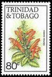 Columnea scandens