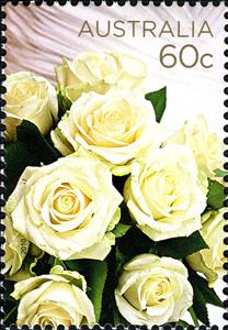 Stamp, Cream Roses, Australia,  , Roses