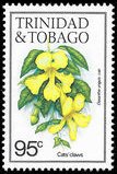 Stamp, Cats' Claws (Doxantha unguis-cati), Trinidad and Tobago,  , Flowers, Plants (Flora)