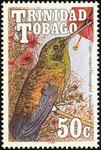 Stamp, Copper-rumped Hummingbird (Amazilia tobaci), Trinidad and Tobago,  , Birds, Hummingbirds