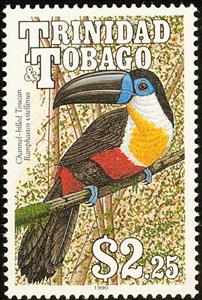 Stamp, Channel-billed Toucan (Ramphastos vicellinus), Trinidad and Tobago,  , Birds