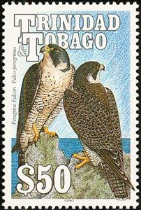 Stamp, Peregrine Falcon (Falco peregrinus), Trinidad and Tobago,  , Birds, Birds of Prey, Animals (Fauna), Falcons