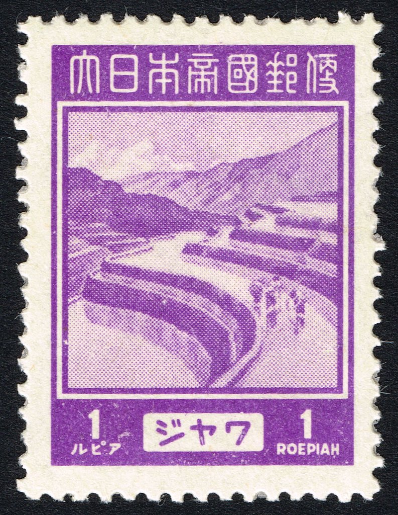 Rice Field Terraces