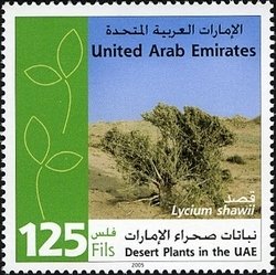 Stamp, Desert plants in the UAE - Lycium shawii, United Arab Emirates,  , Deserts, Plants (Flora)