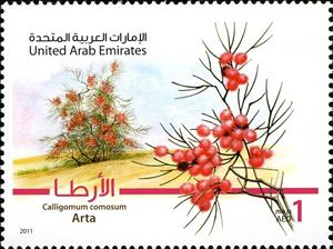 Stamp, Arta, United Arab Emirates,  , Flowers, Plants (Flora)