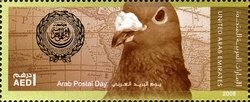 Carrier Pigeon (Columba livia forma domestica)
