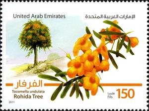 Stamp, Rohida Tree, United Arab Emirates,  , Trees, Flowers, Plants (Flora)