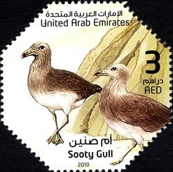 Stamp, Sooty Gull (Ichthyaetus hemprichii), United Arab Emirates,  , Birds, Animals (Fauna)