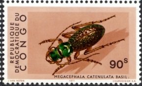 Stamp, Tiger Beetle (Megacephala catenulate), Congo, Democratic Republic (Kinshasa),  , Insects, Beetles, Animals (Fauna)