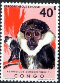 Stamp, Mountain Monkey (Cercopithecus l’hoesti), Congo, Democratic Republic (Kinshasa),  , Monkeys, Animals (Fauna)