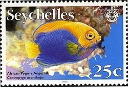 Stamp, Orangeback Angelfish (Centropyge acanthops), Seychelles,  , Fishes