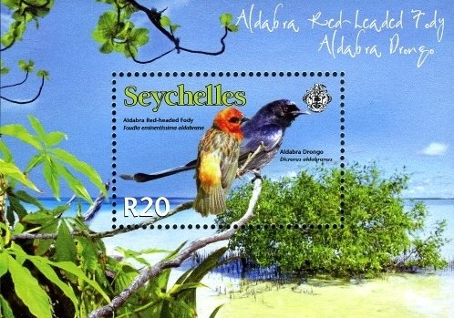 Aldabra Drongo (Dicrurus aldabranus), Aldabra Fody (Foudia e