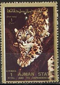 Leopard