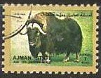 Muskox (Ovibos Moschatus)