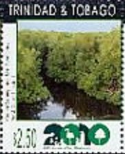 Caroni Swamp and Bird Sanctuary, Trinidad