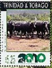 Stamp, Water Buffalo (Bubalus arnee) , Trinidad and Tobago,  