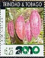 Trinidad select hybrid cocoa pods