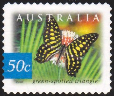 Green-spotted Triangle (Graphium agamemnon ligatum) 